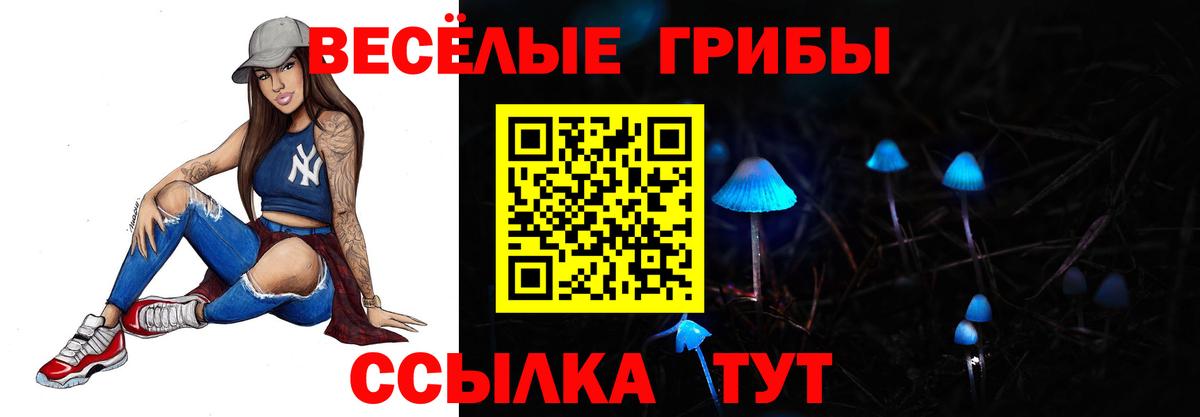 где купить наркоту  Галлюциногенные грибы Cubensis  Вход с VPN  Лыткарино 